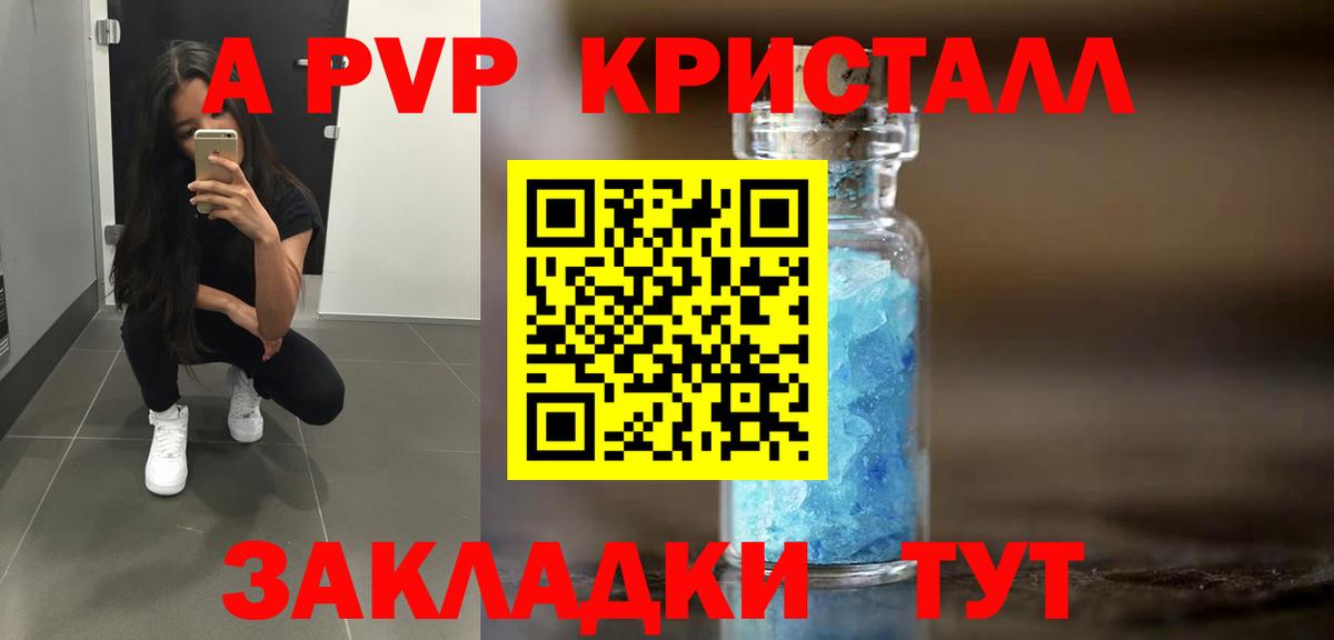 A PVP СК КРИС Бийск