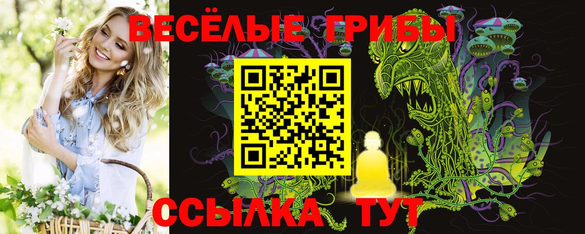 Псилоцибиновые грибы MAGIC MUSHROOMS Бийск