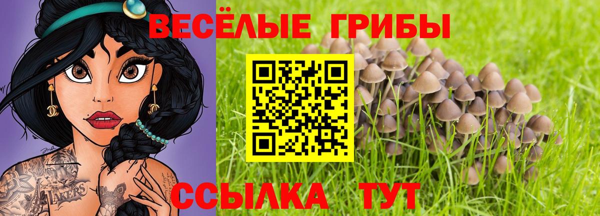 Псилоцибиновые грибы Magic Shrooms  Вход с VPN  Бийск 